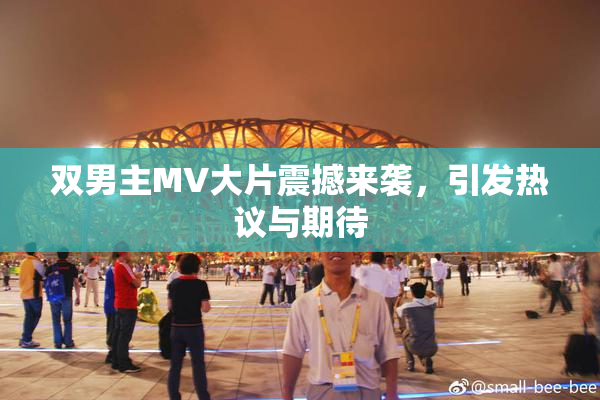 双男主MV大片震撼来袭，引发热议与期待