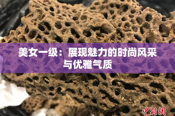 美女一级：展现魅力的时尚风采与优雅气质