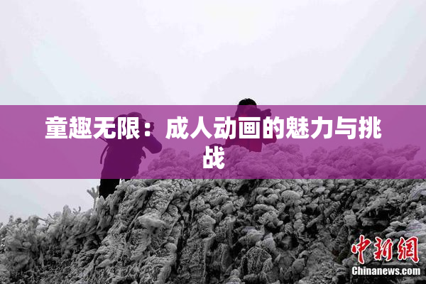 童趣无限：成人动画的魅力与挑战