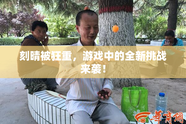 刻晴被狂重，游戏中的全新挑战来袭！