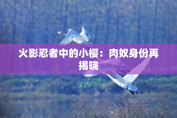 火影忍者中的小樱：肉奴身份再揭晓