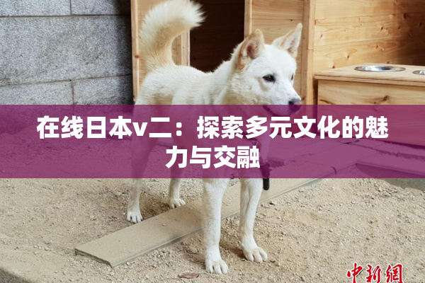 在线日本v二：探索多元文化的魅力与交融