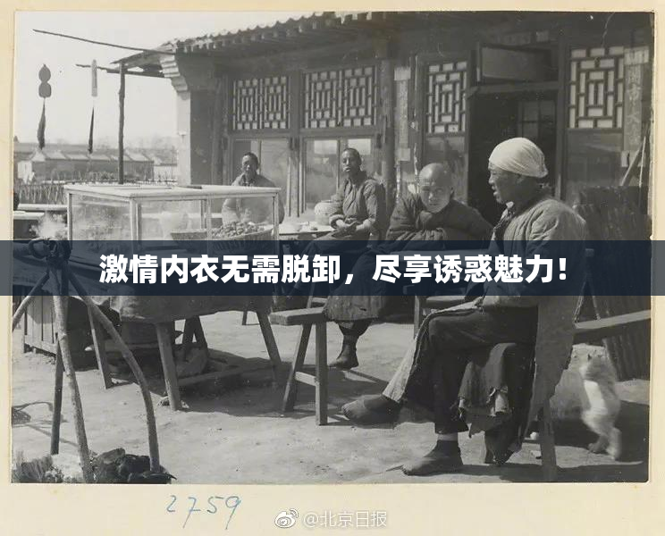 激情内衣无需脱卸，尽享诱惑魅力！