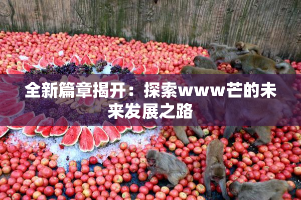 全新篇章揭开：探索www芒的未来发展之路