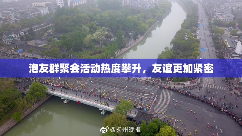 泡友群聚会活动热度攀升，友谊更加紧密