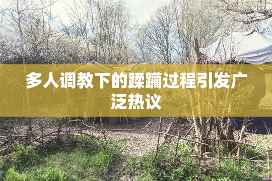 多人调教下的蹂躏过程引发广泛热议