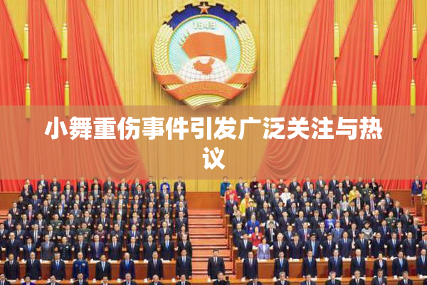 小舞重伤事件引发广泛关注与热议