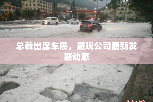 总裁出席车展，展现公司最新发展动态