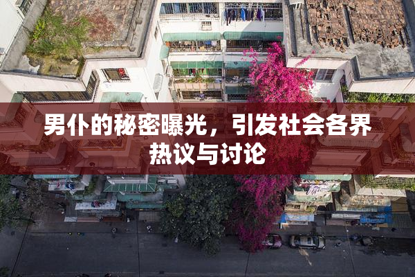 男仆的秘密曝光，引发社会各界热议与讨论