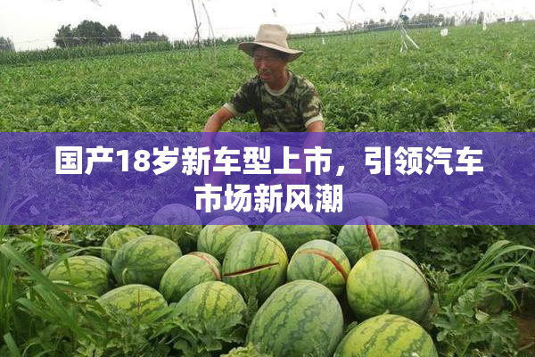 国产18岁新车型上市，引领汽车市场新风潮
