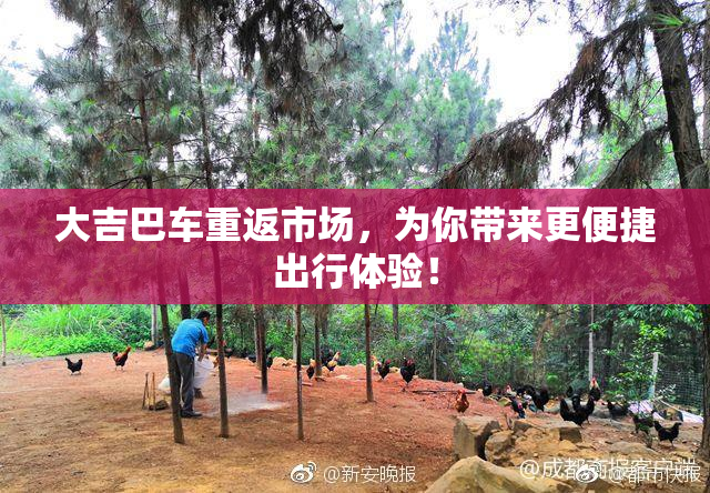 大吉巴车重返市场，为你带来更便捷出行体验！