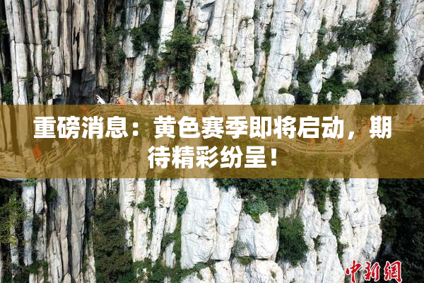 重磅消息：黄色赛季即将启动，期待精彩纷呈！