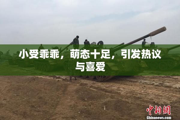 小受乖乖，萌态十足，引发热议与喜爱