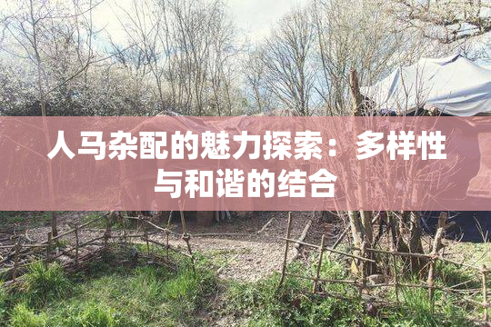 人马杂配的魅力探索：多样性与和谐的结合