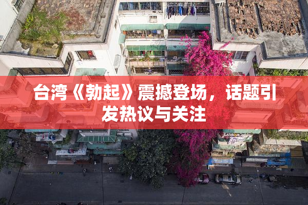 台湾《勃起》震撼登场，话题引发热议与关注
