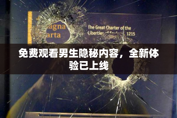 免费观看男生隐秘内容，全新体验已上线
