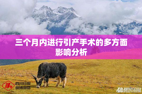 三个月内进行引产手术的多方面影响分析
