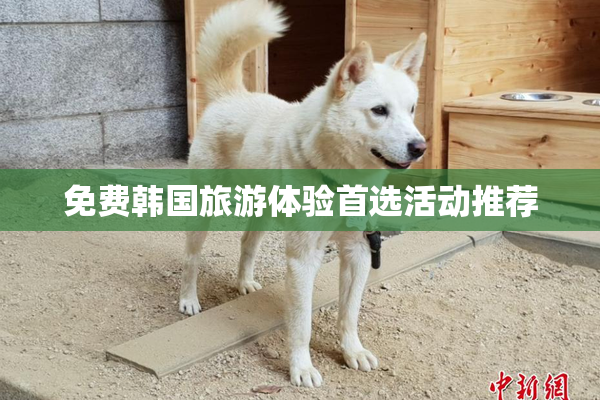 免费韩国旅游体验首选活动推荐
