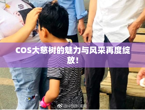 COS大慈树的魅力与风采再度绽放！