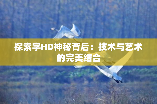 探索字HD神秘背后：技术与艺术的完美结合