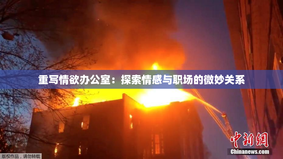 重写情欲办公室：探索情感与职场的微妙关系