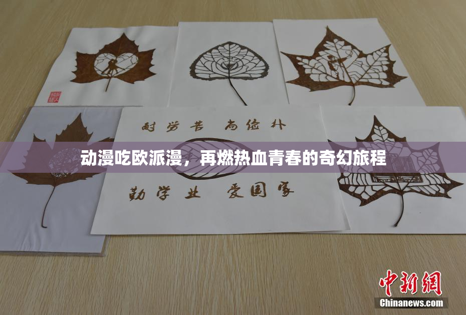 动漫吃欧派漫，再燃热血青春的奇幻旅程