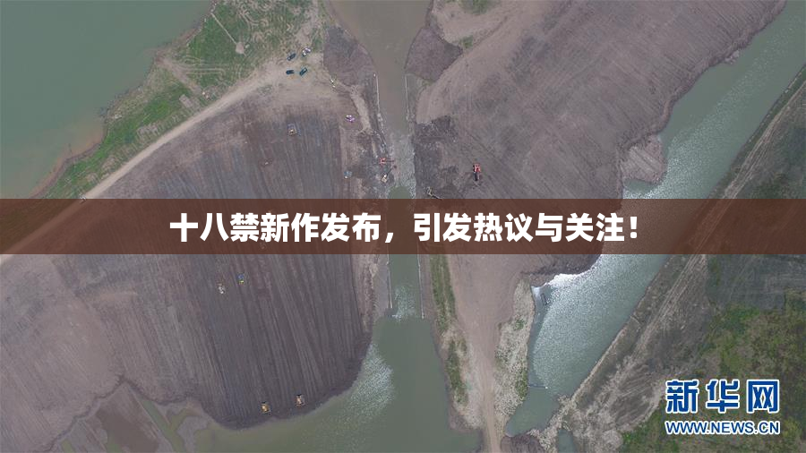 十八禁新作发布，引发热议与关注！