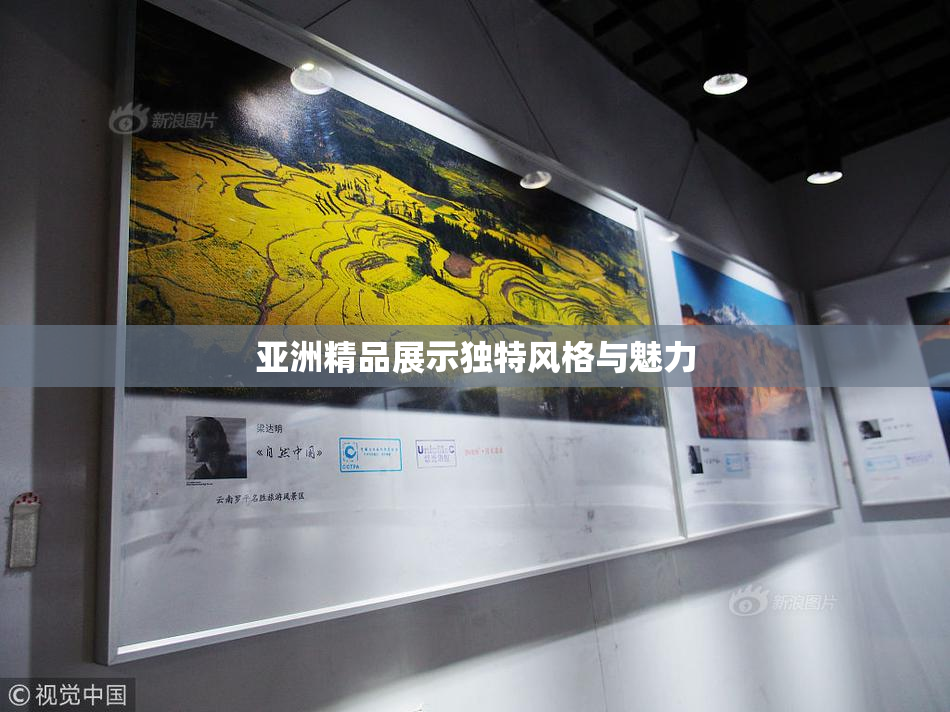 亚洲精品展示独特风格与魅力