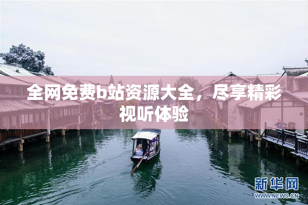 全网免费b站资源大全，尽享精彩视听体验