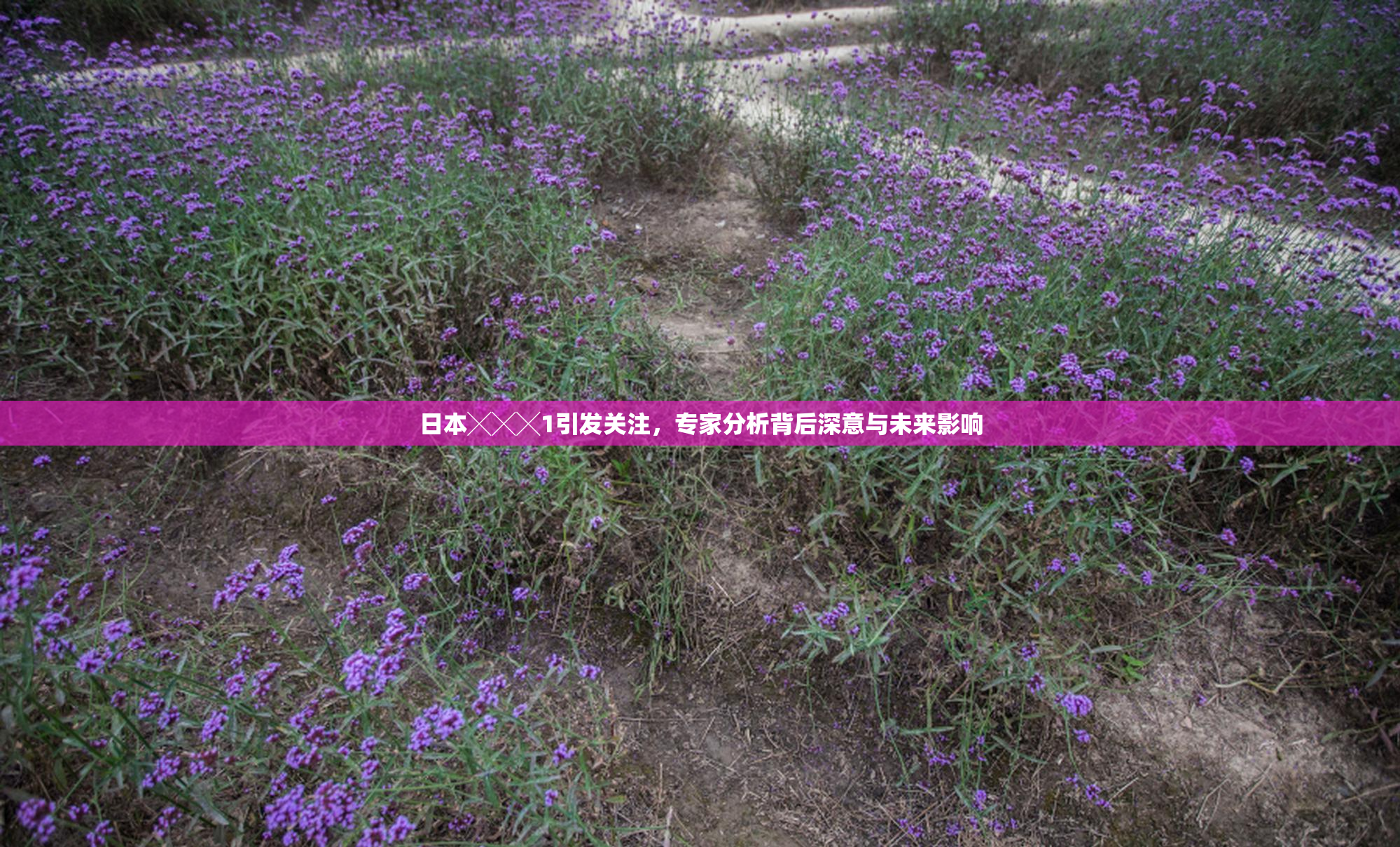 日本╳╳╳1引发关注，专家分析背后深意与未来影响