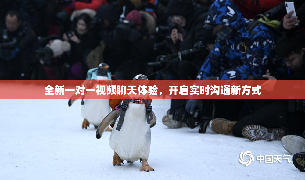 全新一对一视频聊天体验，开启实时沟通新方式