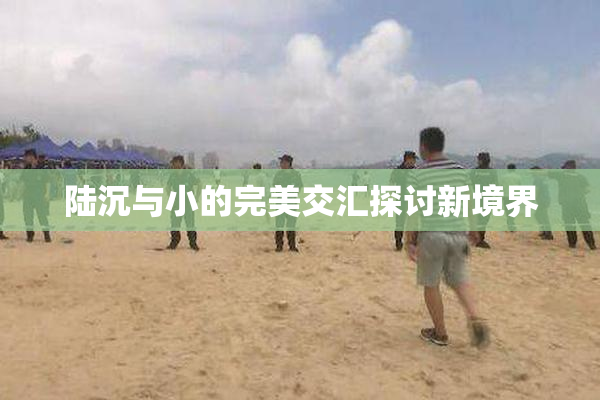 陆沉与小的完美交汇探讨新境界