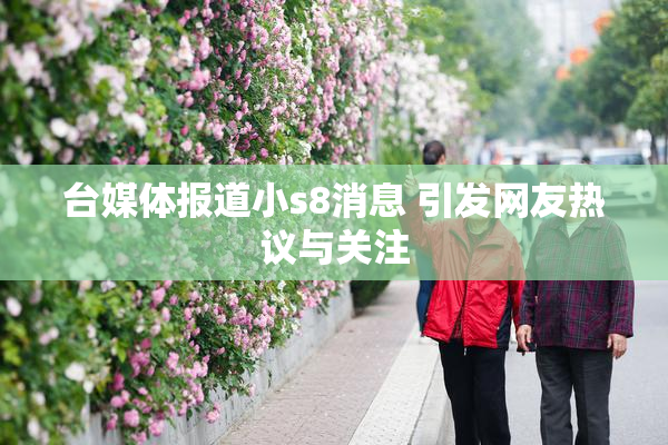 台媒体报道小s8消息 引发网友热议与关注