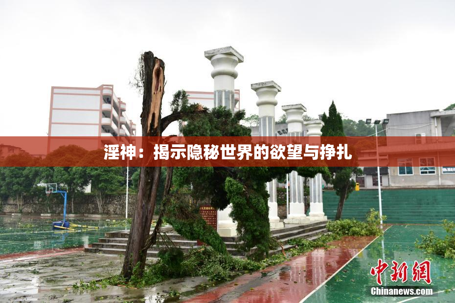 淫神：揭示隐秘世界的欲望与挣扎
