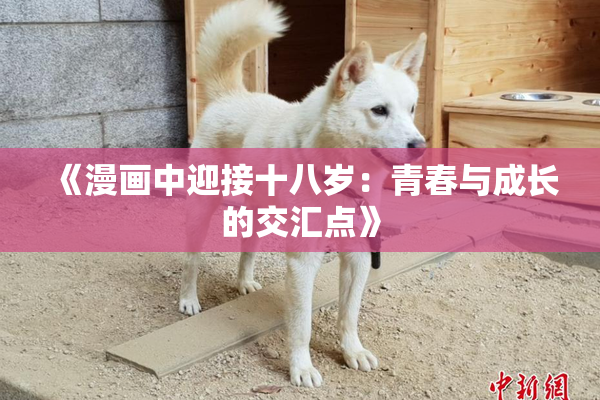 《漫画中迎接十八岁：青春与成长的交汇点》
