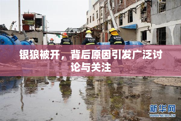 银狼被开，背后原因引发广泛讨论与关注