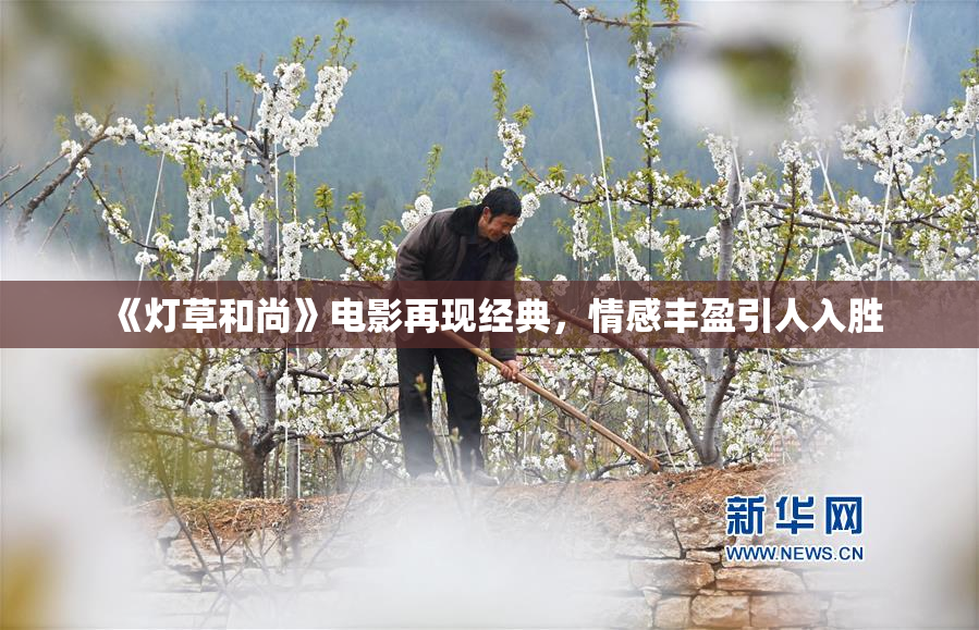 《灯草和尚》电影再现经典，情感丰盈引人入胜