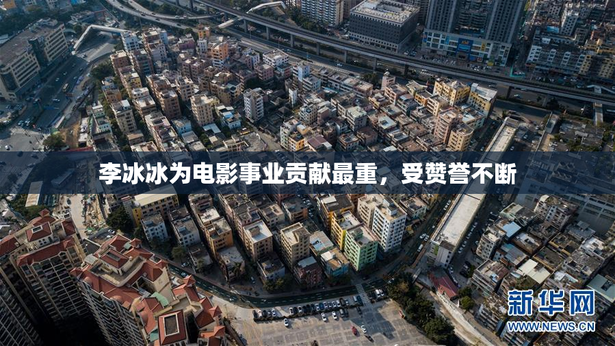 李冰冰为电影事业贡献最重，受赞誉不断