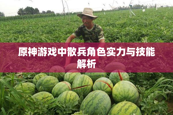 原神游戏中散兵角色实力与技能解析