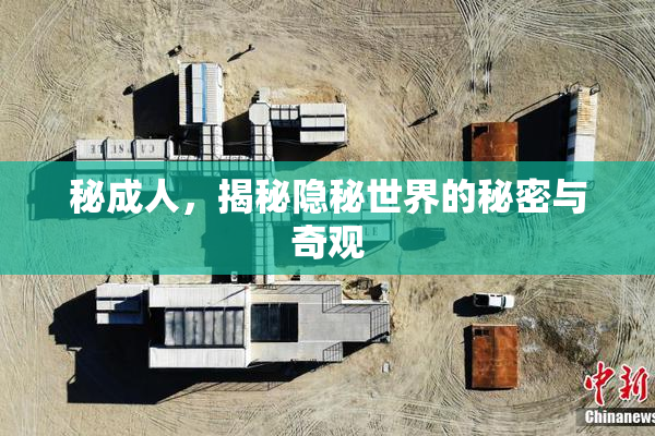 秘成人，揭秘隐秘世界的秘密与奇观