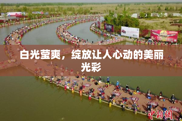 白光莹爽，绽放让人心动的美丽光彩