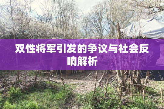 双性将军引发的争议与社会反响解析