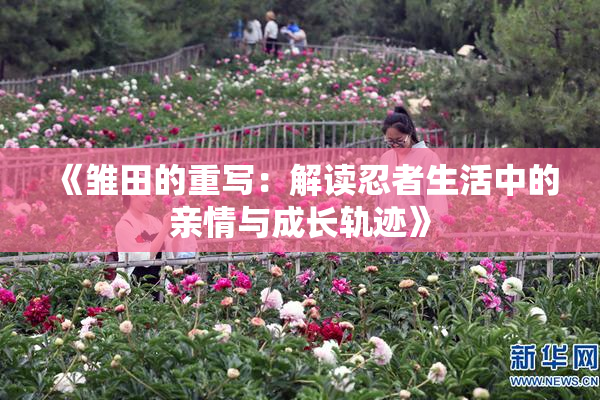《雏田的重写：解读忍者生活中的亲情与成长轨迹》