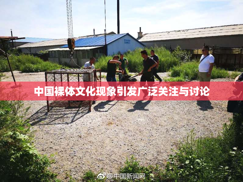 中国裸体文化现象引发广泛关注与讨论