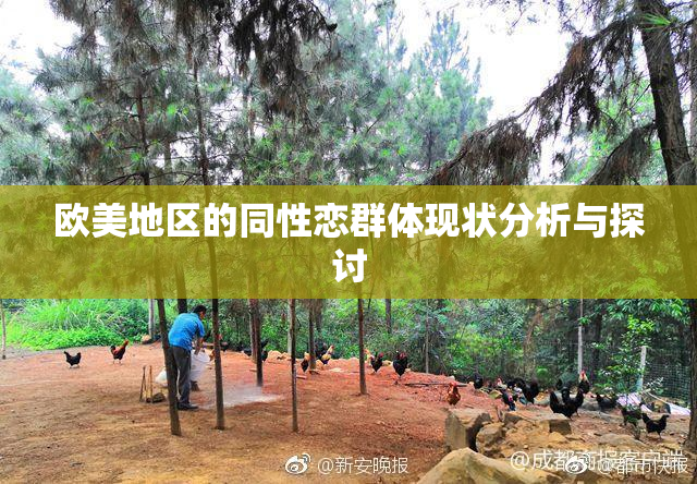 欧美地区的同性恋群体现状分析与探讨