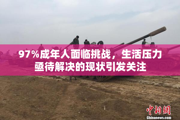 97%成年人面临挑战，生活压力亟待解决的现状引发关注