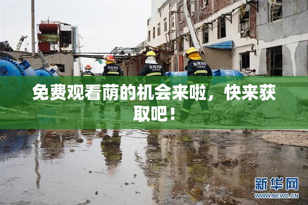 免费观看荫的机会来啦，快来获取吧！