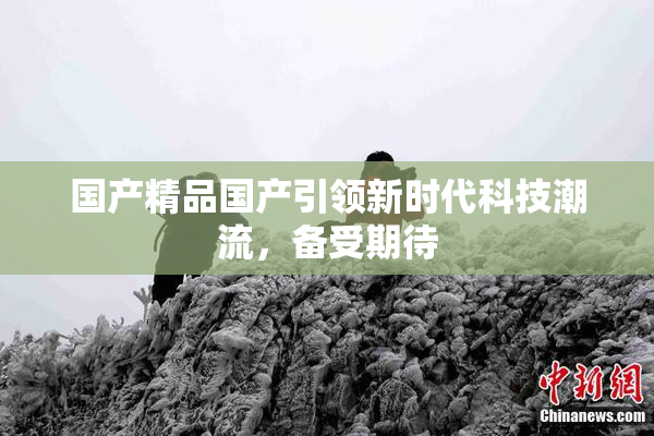 国产精品国产引领新时代科技潮流，备受期待