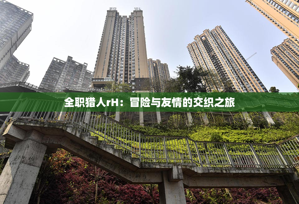 全职猎人rH：冒险与友情的交织之旅