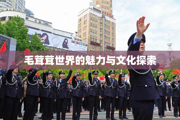 毛茸茸世界的魅力与文化探索